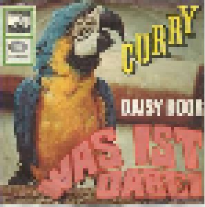 Cover - Daisy Door: Curry