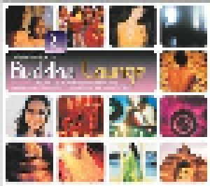 Cover - Apollo Nove: Beginner's Guide To Buddha Lounge