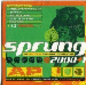Cover - Boy Hits Car: A.P. Sprung 2000+1