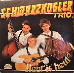 Schwarzkogler Trio: Heut' Is' Heut'! - Cover