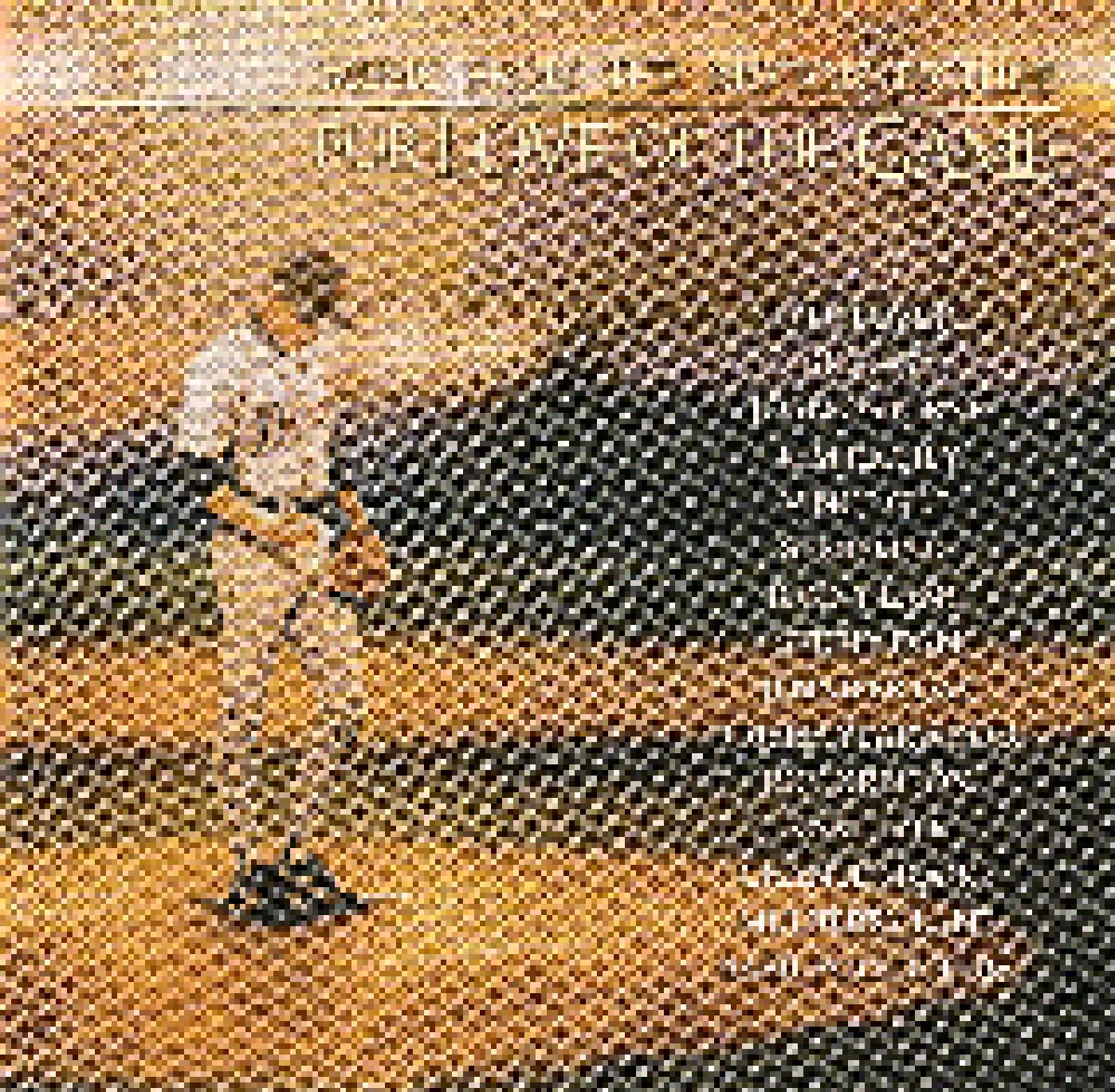 For Love Of The Game Music From The Motion Picture CD (1999)