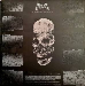 Grand Cadaver: Deities Of Deathlike Sleep (LP) - Bild 2