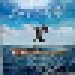 Chris Shiflett: Lost At Sea (LP) - Thumbnail 1