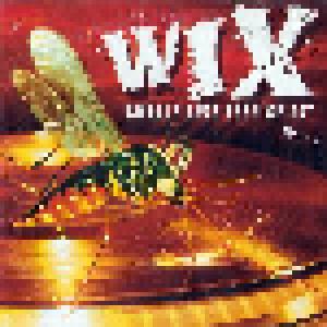 Wix: Smells Like Teen Spirit - Cover