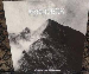Bergrizen: Einsamkeit Im Wintersturm - Cover