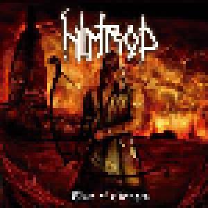 Nimrod: Time Of Changes - Cover
