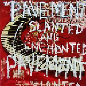 Pavement: Slanted And Enchanted (2007)