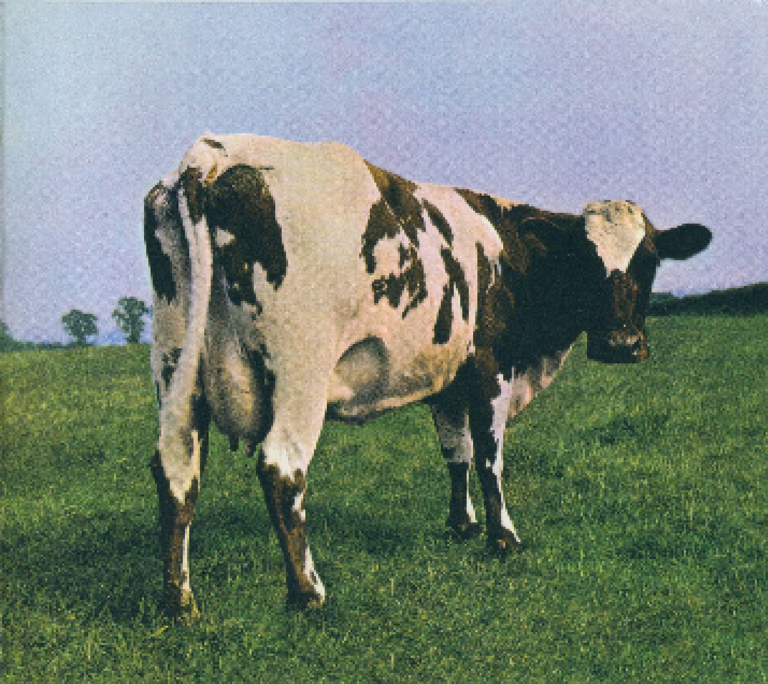 why did pink floyd hate atom heart mother?