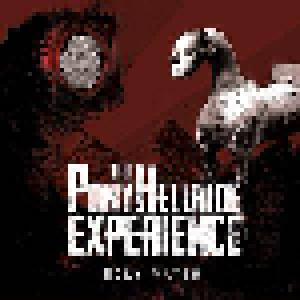 The Pony Hellride Experience: Holy Water (CD) - Bild 1